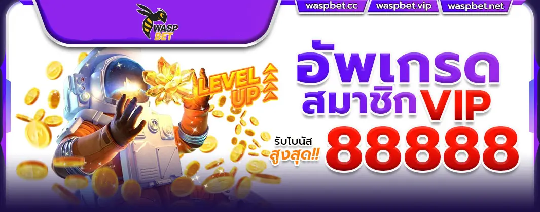 อัพเกรดสมาชิก vip88888
