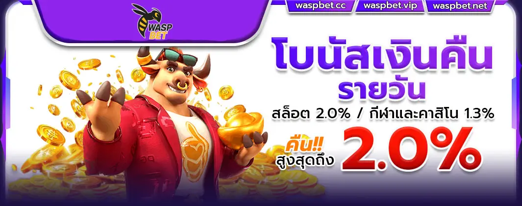 โบนัสเงินคืนรายวัน