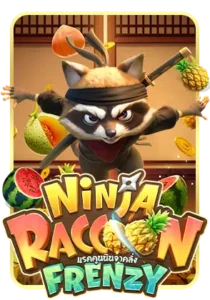 Ninja-Raccoon-Frenzy